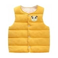 thumbnail image 1 of IROINNID Boys Girls Autumn And Winter Puffer Vest Button Down Warm Printed Vest Inside And Outside Wear, 1 of 5