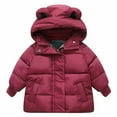 thumbnail image 1 of IROINNID Boys Girls Autumn Winter Thick Button Down Cotton Padded Jacket Hooded Zipper Jacket Coat, 1 of 4