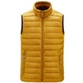 thumbnail image 1 of IROINNID Men's Sleeveless V-Neck Short Vest Solid Color Casual Autumn And Winter Jacket Cotton Waistcoat Warm Vest, 1 of 8