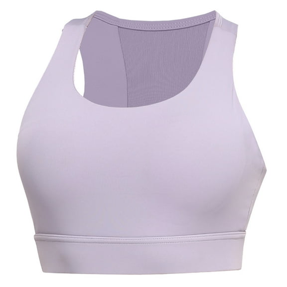 IROINNID Plus Size Sports Bras for Women Push Up Bra Sports Bra Fitness Running Shockproof Yoga Top Front Zipper No Steel Ring Comfort Sports Bra,Purple
