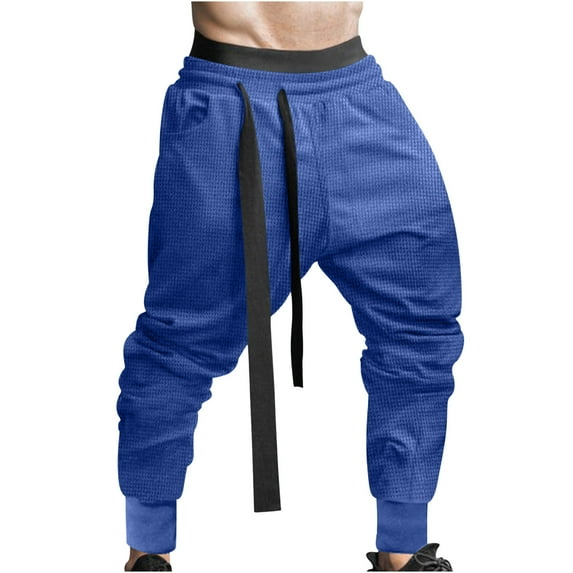 IROINNID Rollbacks Cargo Pants for Men Solid Color Sport Loose Pleated Small Legs Drawstring Solid Color Full Length Pants,Blue