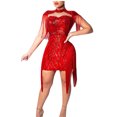 thumbnail image 1 of IROINNID Round Neckline Dress For Women Sleeveless Nightclub Party Sexy Club Sequins Fringe Tassel Sheath Dress Short Solid Color Sheath Dress, 1 of 7