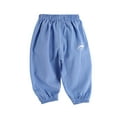 thumbnail image 1 of IROINNID Toddler Baby Boys Sweatpants Solid Cotton Elastic Waist Trousers Active Jogger Pants 3T, 1 of 3
