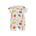 thumbnail image 1 of IROINNID Toddler Baby Short Sleeve Onesies Round Neck Jumpsuit Romper for Infant Baby Girls, 1 of 4
