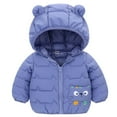 thumbnail image 1 of IROINNID Toddler Boys Girls Puffer Jacket Kids Cute Hooded Winter Thermal Jacket Windproof Zipper Print Outerwear for Kids,Blue b, 1 of 5