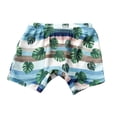 thumbnail image 1 of IROINNID Toddler Boys Swim Trunks Boy Stretch Swimsuit Shorts Quick Dry Swimming Trunks Bathing Suit, 1 of 8