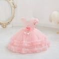 thumbnail image 1 of IROINNID Toddler Girl Birthday Party Dress Tutu Sleeveless Mesh Toddler Girl Dress 12M, 1 of 4