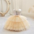 thumbnail image 1 of IROINNID Toddler Girl Birthday Party Dress Tutu Sleeveless Mesh Toddler Girl Dress 3M, 1 of 3