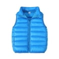 thumbnail image 1 of IROINNID Toddler Kids Puffer Vest Winter Windproof Padded Clothes Sleeveless Keep Warm Vest for Boys Girls,Blue, 1 of 7