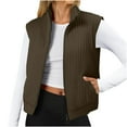 thumbnail image 1 of IROINNID Womens Quilted Sleeveless Zip Up Jacket Lightweight Outerwear Solid Color Casual Vest Coat for Fall Spring Daily Wear with Pockets(Brown,S), 1 of 8