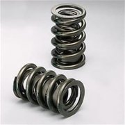 ISKY Cams 4205 1.240 in. Dual Valve Springs