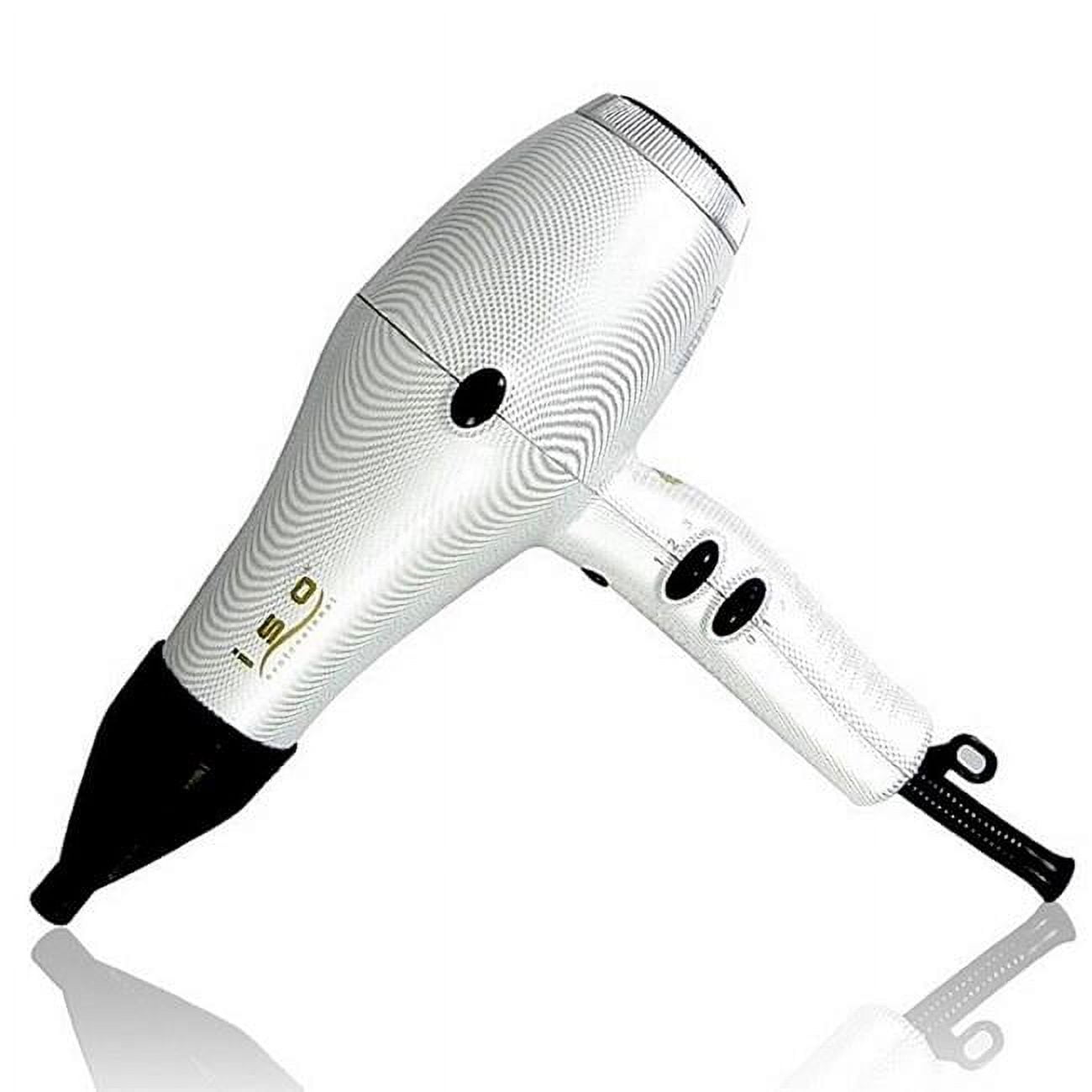 ISO Beauty Nano Ionic 1875W DC Motor Turbo-Velocity Professional Hair ...
