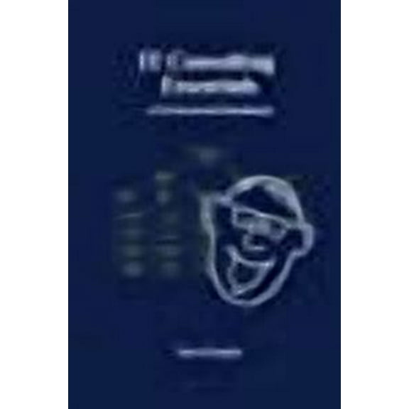 IT Consulting Essentials: A Professional Handbook (Paperback)