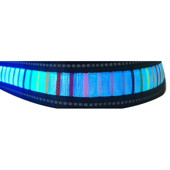 IT'S RIDIC! LED Reflective Light Small Blue with Rainbow Stripes Dog Collar