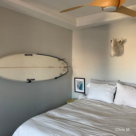 ITALIAN PLASTER - Cool, Light Gray, 0.5 Gallon