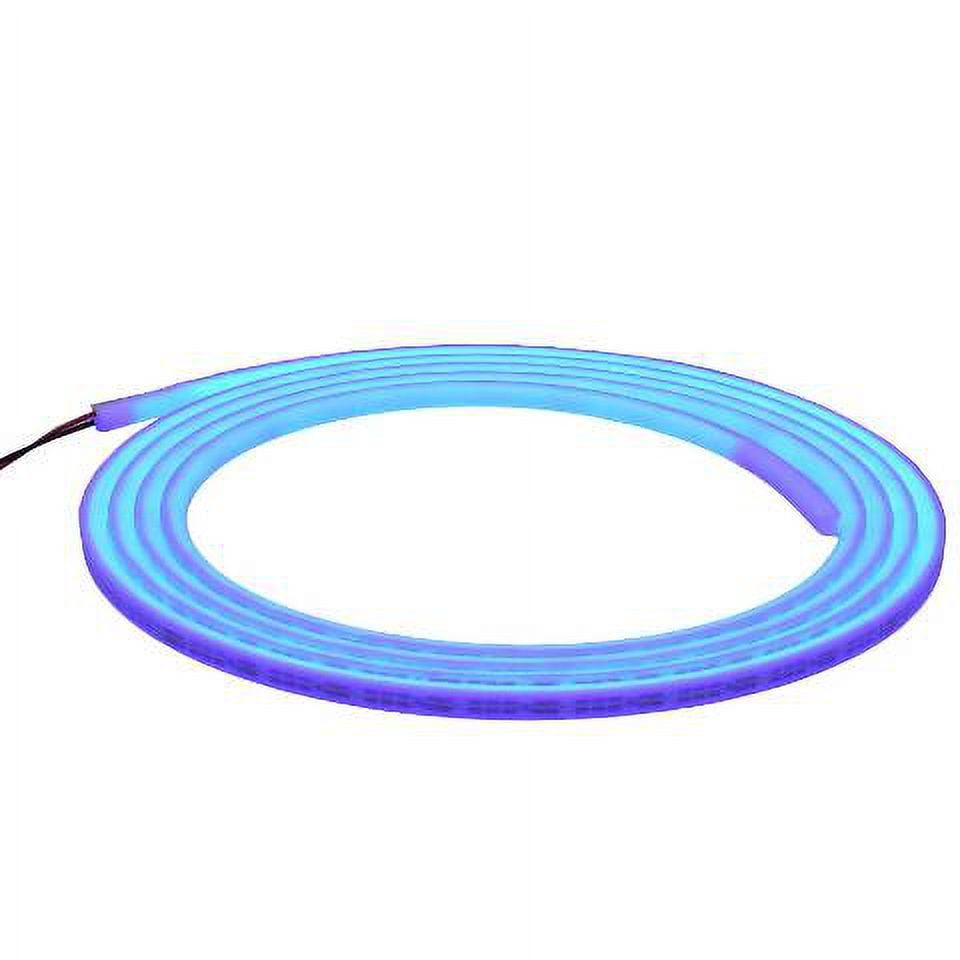 ITC Boat Flexible Light Strip RNLL12BL-16336 | Luna LED 163 Inch Blue ...