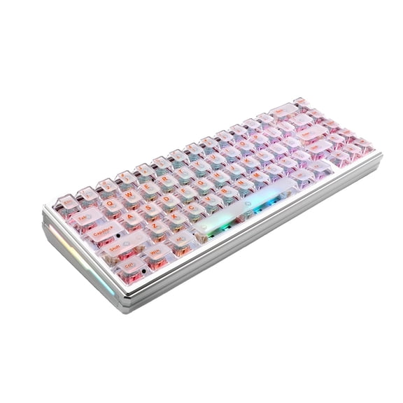 ITIGOITIE 67-Key RGB Wired Gaming Keyboard, Transparent Keycaps, Magnetic Switch, Hot Swappable for Windows/Mac – Orange Legends