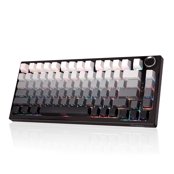 ITIGOITIE 75% Mechanical Keyboard, Tri-Mode Wireless, Gradient Side-Printed Hot Swappable RGB Gaming Keyboard with 8000mAh Battery, for PC/Mac/Laptop - Black/White