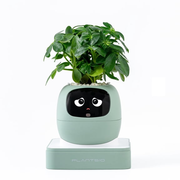 ITIGOITIE Smart Flowerpot with Artificial Intelligence, Time & Temperature Display, Multiple Expressions, Ideal for Indoor Decoration & Gifts (Green, Gen 2)