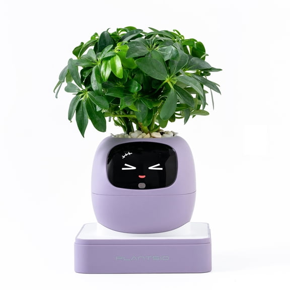 ITIGOITIE Smart Flowerpot with Artificial Intelligence, Time & Temperature Display, Multiple Expressions, Ideal for Indoor Decoration & Gifts (Purple, Gen 2)