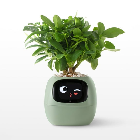 ITIGOITIE Smart Flowerpots, with Artificial Intelligence, Time Temperature Display, Multiple expressions, for Indoor Decoration, Gifts(Green)