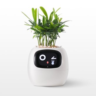 plant square pot GreenShip 27 inch Tall Planters for Indoor Outdoor Plants, Set of 2 main image 1