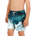 thumbnail image 1 of ITSAME Boys Swim Shorts, Drawstring Fashion Print Quick-Dry Summer Beach Surfing Swim Trunks Multicolor 14-15T, 1 of 7