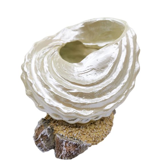 ITSELFER 1Pc Simulated Conch Decor Creative Resin Conch Shape Adornment Resin Decor