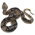 ITSELFER High Simulation Python Model Toy Big Realistic Snake Halloween ...