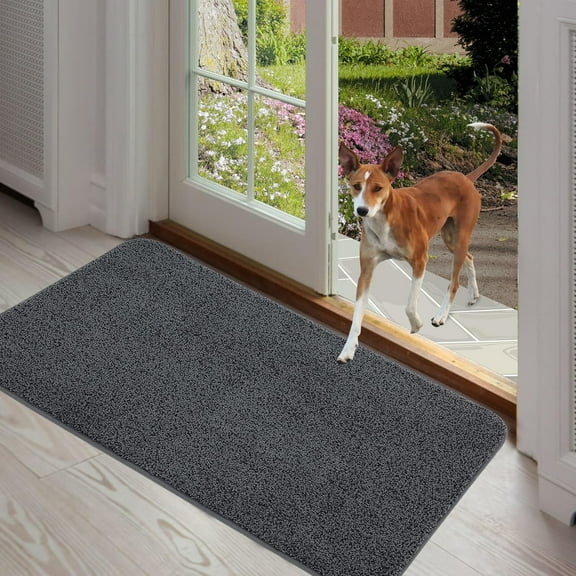 ITSOFT Absorbent Doormat, Dirt Trapper Mats for Muddy Shoes & Pets, Dark Gray, 35" x 24"