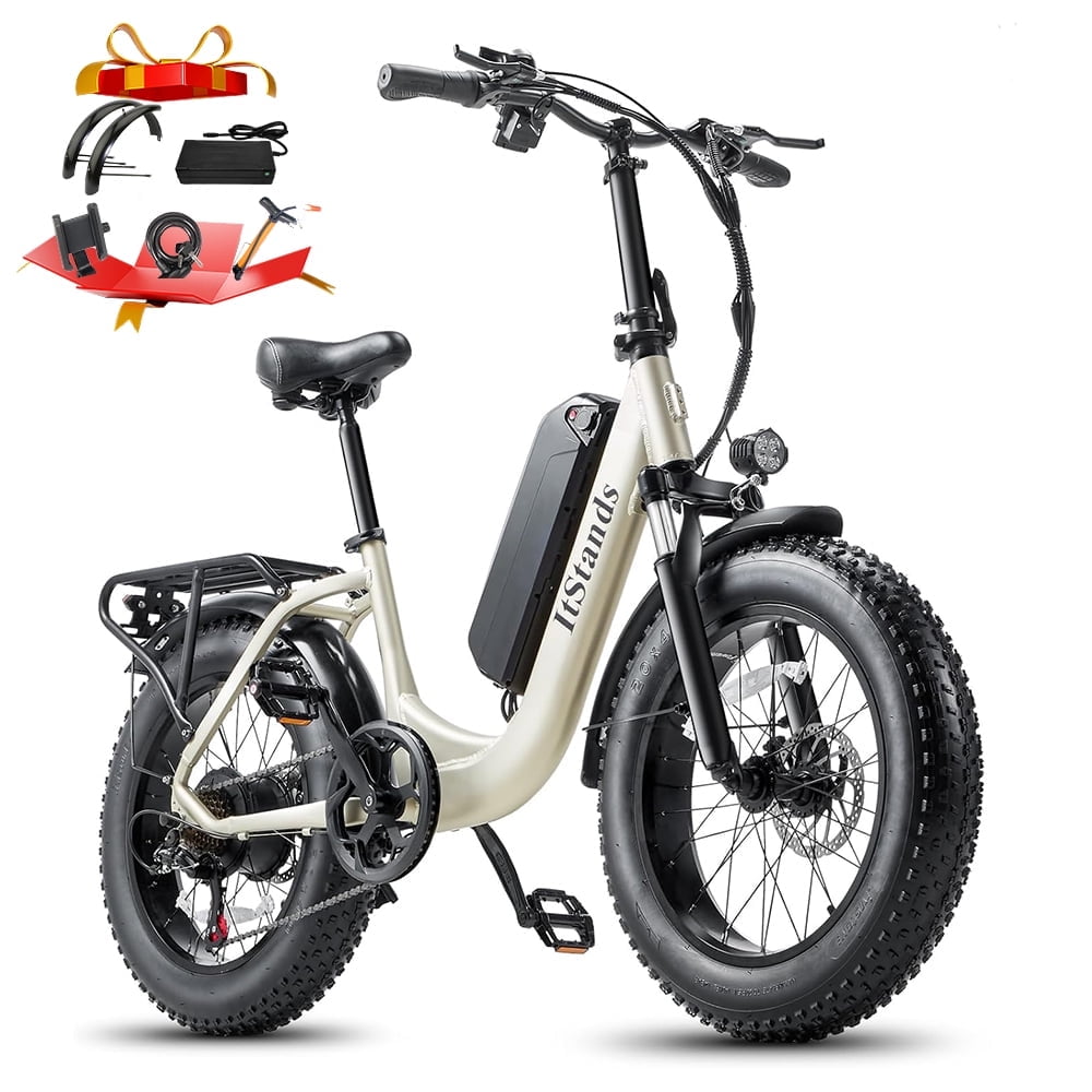 ITSTANDS Electric Bike for Adults 20'', 800W 48V 15AH UL2849 Ebike 28MPH*70Miles Full Suspension E-Montain Bike 4.0 Fat Tire 2 Seats off road Ebike & Dual Disc Brakes E-bicycle
