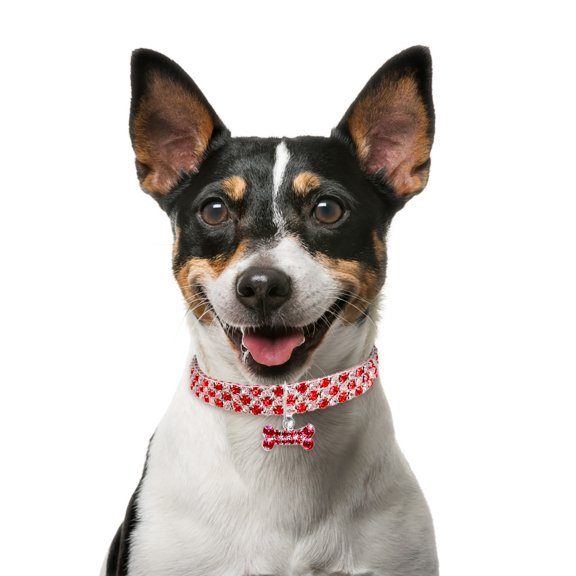 IUAMXWU Rhinestone Choker Collar - Red S Stretchy Acrylic for Small Dogs
