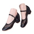thumbnail image 1 of IUJSOY Character Shoes for Women Latin Dance Shoes Embroidery Mesh Mary Jane Heels Closed Toe Pumps, 1 of 9