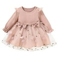 thumbnail image 1 of IVEYRTF Children Girls Fashion Bow Embroidered Mesh Lace Sleeve Round Neck Dress Long Sleeve Loose Soft Comfortable Daily Wear Party Outfit(Pink,9-12 Months), 1 of 6