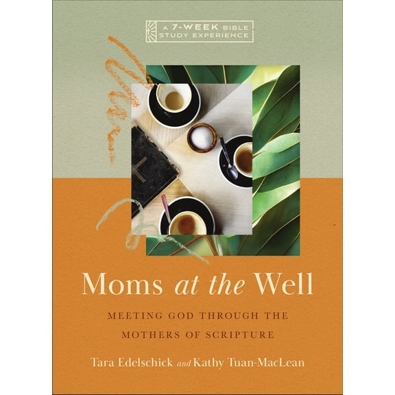 IVP Bible Study Experience Moms at the Well: Meeting God Through the Mothers of Scripture--A 7-Week Bible Study with Video Access, (Paperback)