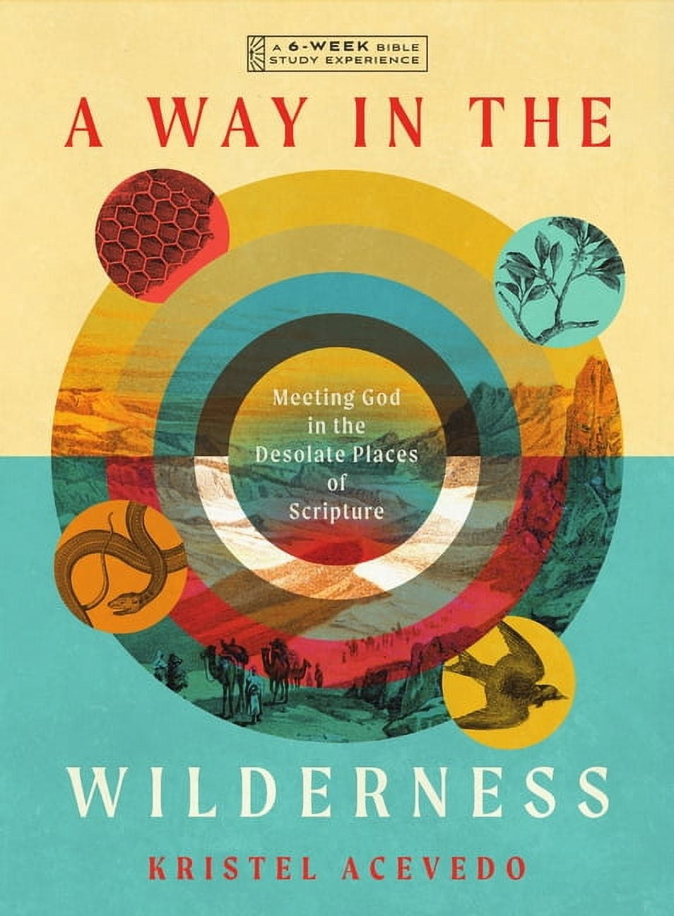 IVP Bible Study Experience A Way in the Wilderness: Meeting God in the Desolate Places of Scripture--A 6-Week Bible Study with Video Access, (Paperback)