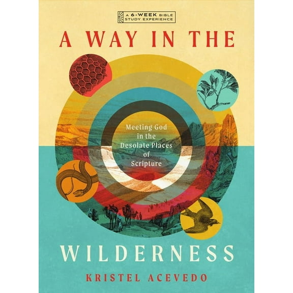 IVP Bible Study Experience A Way in the Wilderness: Meeting God in the Desolate Places of Scripture--A 6-Week Bible Study with Video Access, (Paperback)