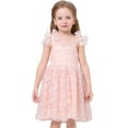 thumbnail image 1 of IWEMEK Girl's Dress Fluffy Mesh Dresses for Toddler Girls Tutu Pink Sleeveless Smocked Flower Beach Princess Dress 2025, 1 of 7