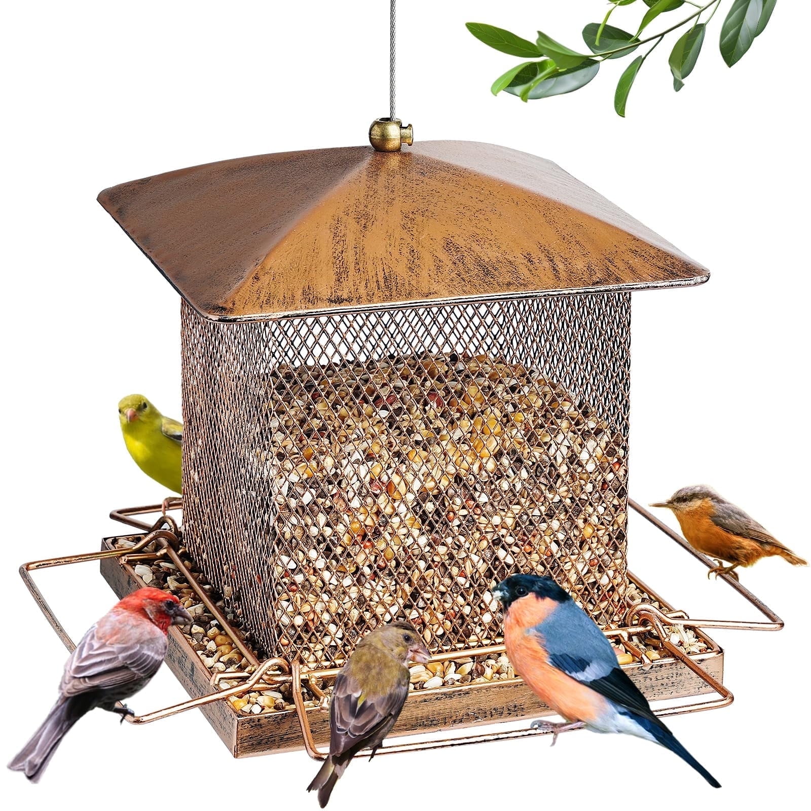 IWNTWY Metal Wild Bird Feeder,  Heavy Duty 3.5LB Capacity for Outdoor Hanging in Garden, Yard