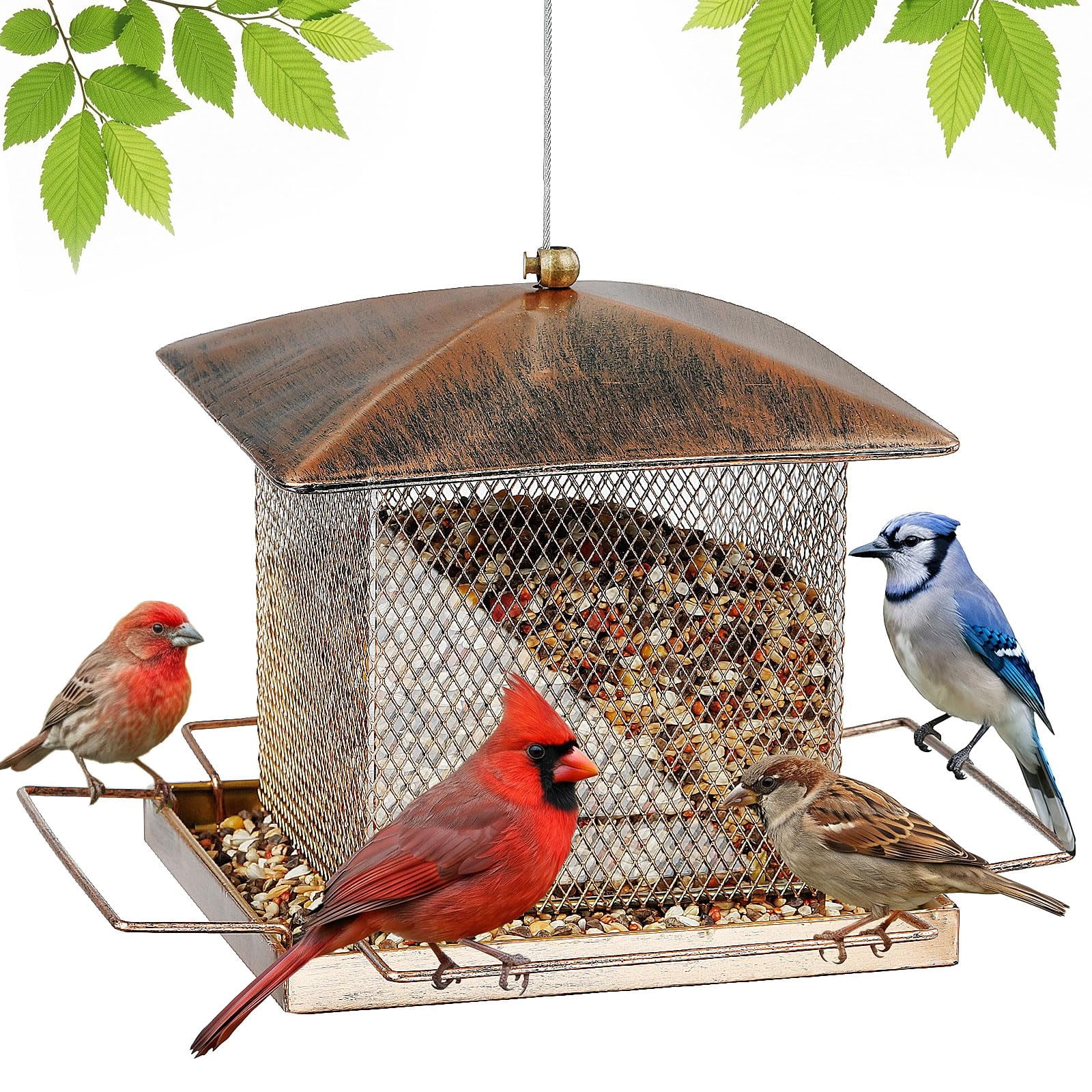 IWNTWY Metal Wild Bird Feeder,  Heavy Duty 3.5LB Capacity for Outdoor Hanging in Garden, Yard