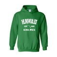 thumbnail image 1 of IWPF - Mens Plus Sweatshirts and Hoodies - Hawaii, 1 of 5