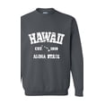 thumbnail image 1 of IWPF - Women Sweatshirts and Hoodies - Hawaii, 1 of 5