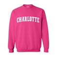 thumbnail image 1 of IWPF - Women's Plus Sweatshirts and Hoodies - Charlotte, 1 of 5