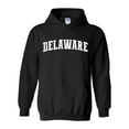 thumbnail image 1 of IWPF - Women's Plus Sweatshirts and Hoodies - Delaware, 1 of 5
