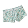 thumbnail image 1 of IWRICH Men's Boxer Briefs Breathable Underwear Low Rise Print Valentines Boxers Light Green XXL, 1 of 2