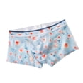 thumbnail image 1 of IWRICH Men's Boxer Briefs Breathable Underwear Low Rise Print Valentines Boxers Sky Blue XL, 1 of 2