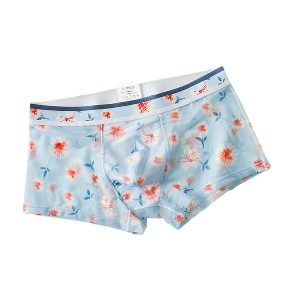 IWRICH Men's Boxer Briefs Breathable Underwear Low Rise Print Valentines Boxers Sky Blue XL