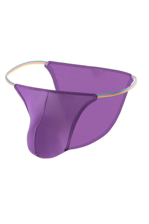 Men's Briefs Low Rise Ice Silk Triangle Bikini Briefs and Underwear Purple L