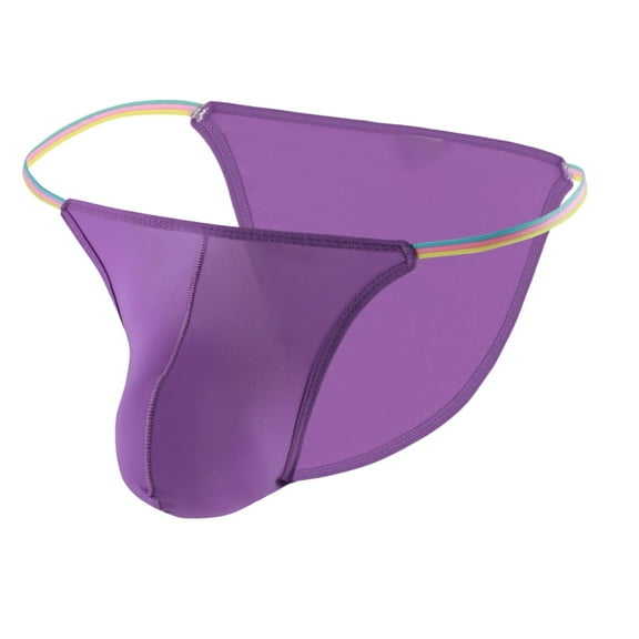 IWRICH Men's Briefs Low Rise Ice Silk Triangle Bikini Briefs and Underwear Purple M