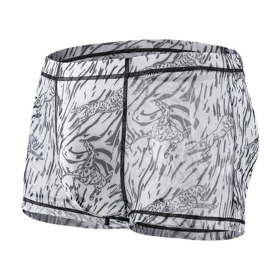 IWRICH Men's Ice Silk Mesh Leopard Print Fully Transparent Quick-Drying Breathable Briefs Black4 M